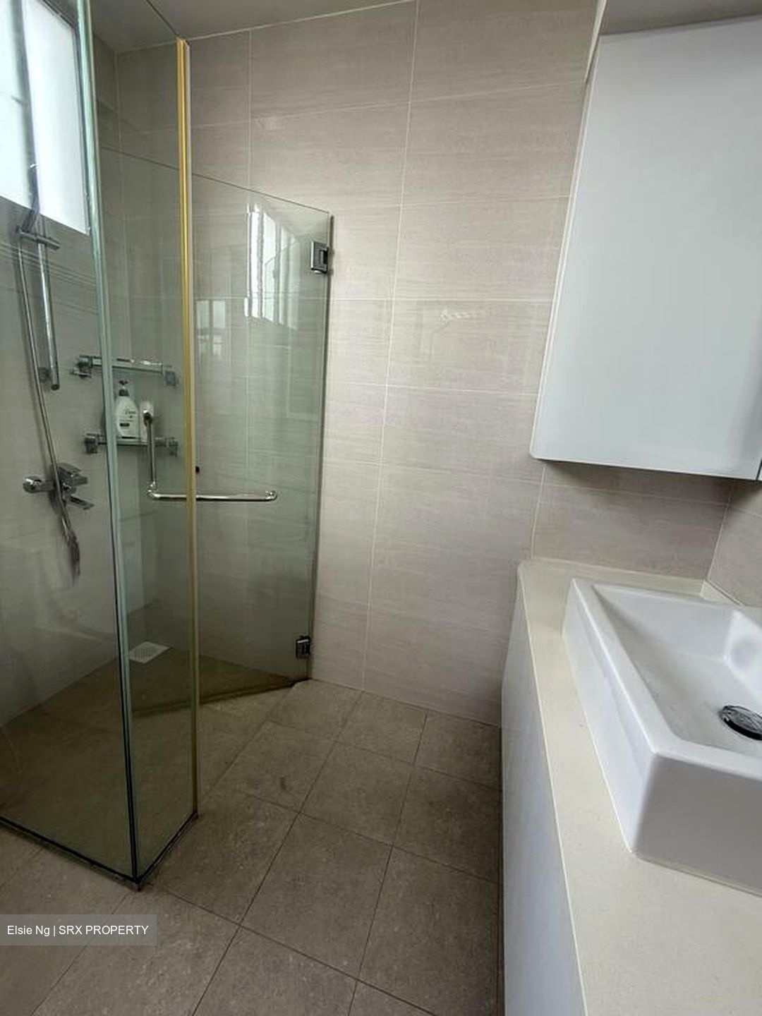 Northvale (D23), Apartment #504281041